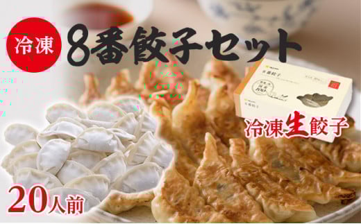 [№5528-0038]8番餃子セット 20人前