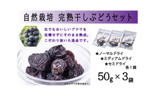 自然栽培 完熟 干しぶどう 50g 3袋 計150g 食べ比べ [砂山ぶどう園 石川県 宝達志水町 38600852] ぶどう ブドウ 葡萄 干しブドウ 干し葡萄 ドライフルーツ 数量限定 限定