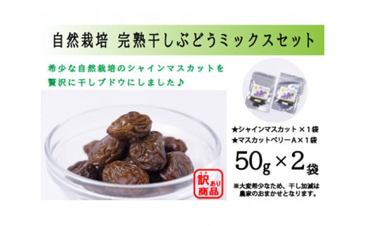 訳あり 自然栽培 完熟干しぶどう ミックスセット (50g×2袋) [砂山ぶどう園 石川県 宝達志水町 38600642] ぶどう ブドウ 葡萄 干しブドウ 干し葡萄 数量限定 限定