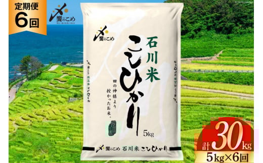 米 定期便 石川米こしひかり【穂立】5kg×6回 総計30kg [中橋商事 石川県 宝達志水町 38601131] コシヒカリ お米 コメ 6ヶ月 白米 精米 おこめ こめ 能登 5kg 5キロ