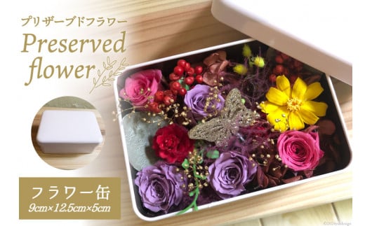 花 プリザーブドフラワー缶 9cm×12.5cm×5cm [littleprincess 石川県 宝達志水町 38600809]  手土産 インテリア 観賞用 小物 お花 花束 長持ち 仏花