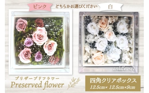 花 プリザーブドフラワー 四角クリアボックス [littleprincess 石川県 宝達志水町 38601236]  お花 プリザーブド フラワー ギフト インテリア 観賞用 小物 お花 花束 長期保存