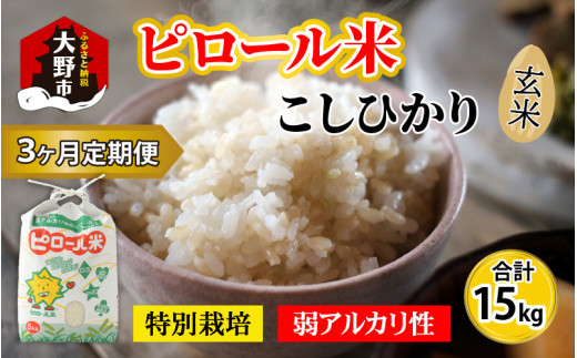 【令和7年産 新米】【3ヶ月定期便】こだわりの米！弱アルカリ性のピロール米 こしひかり 玄米 5kg×3回 計15kg [C-009002]