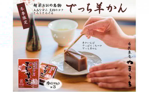 【先行予約】老舗和菓子店　福井県大野市冬の名物 でっち羊かん 小サイズ（約240g）×3箱【11月～順次発送】