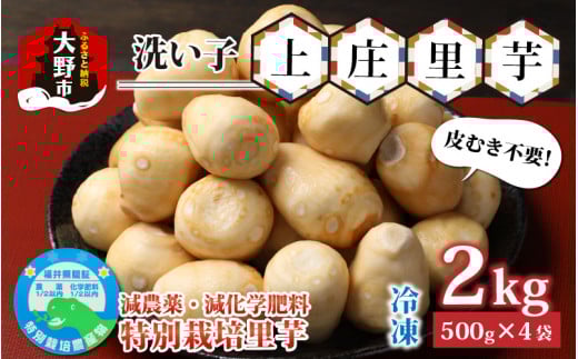 【先行予約】【皮むき不要】減農薬・減化学肥料の特別栽培里芋 上庄里芋 冷凍 洗い子 2kg(500g×4袋)【10月~年内出荷】