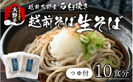 [そばランキング一位を獲得 内田製麺の生そば] 越前そば 10食入り 冷凍保存も可能で美味しさ長持ち | 蕎麦 そば ソバ 生麵 生蕎麦 生そば 大野市 福井県大野市 大野市産