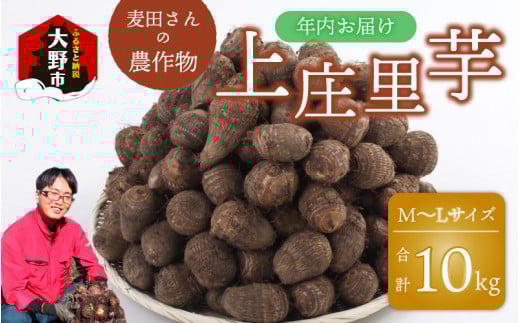 【先行予約】【年内お届け】麦田さんの農作物 上庄里芋 10kg M~Lサイズ 【2025年10月中旬より順次発送】