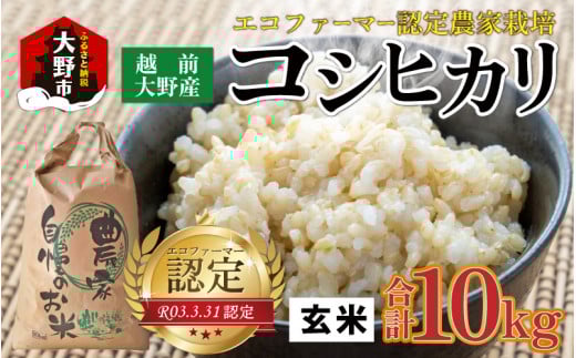【先行予約】【令和7年産 新米】越前大野産 エコファーマー認定農家栽培 コシヒカリ10kg（玄米）【2026年1月より順次お届け】