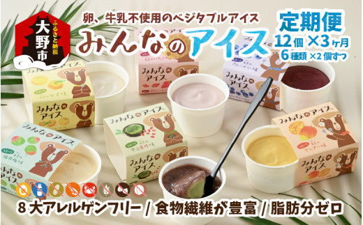 【3ヶ月定期便】みんなのアイス 12個セット （ 卵・牛乳・小麦等アレルギー特定原材料8品目不使用のアイス ）