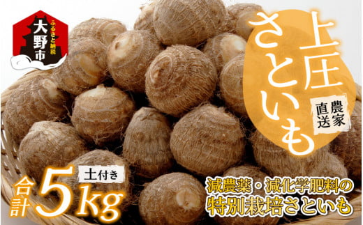 【先行予約】【12月発送分】上庄さといも 5kg 減農薬・減化学肥料の特別栽培里芋
