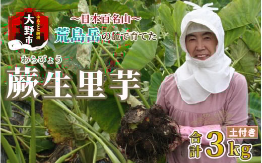 【先行予約】日本百名山 荒島岳の麓で育てた 蕨生（わらびょう）里芋 3kg【11月～出荷】