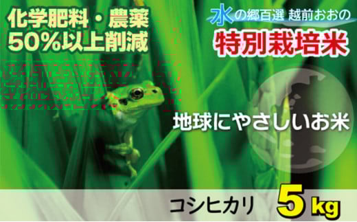【令和7年産 新米】こしひかり（福井県大野市産）福井県特別栽培米 5kg【白米】