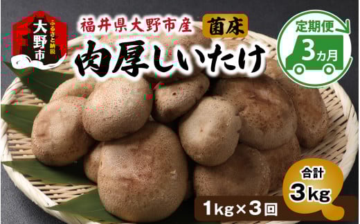 【3ヵ月定期便】菌床肉厚しいたけ(福井県大野市産)1kg×3回 計3kg