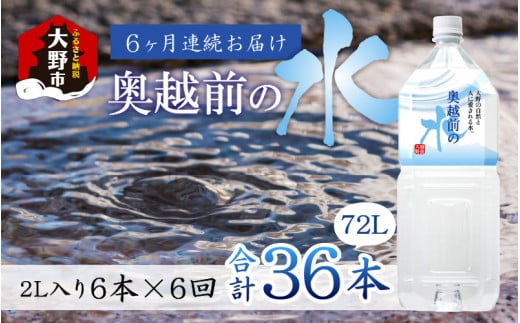 【6ヶ月連続お届け】奥越前の水　PET2L×6本 計36本