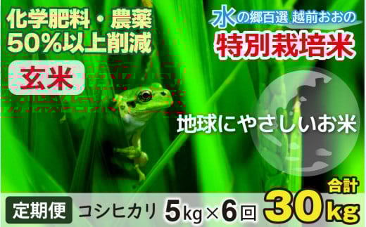 【令和7年産 新米】【6ヶ月定期便】こしひかり 5kg × 6回 計 30kg【玄米】減農薬・減化学肥料 「特別栽培米」－地球にやさしいお米－