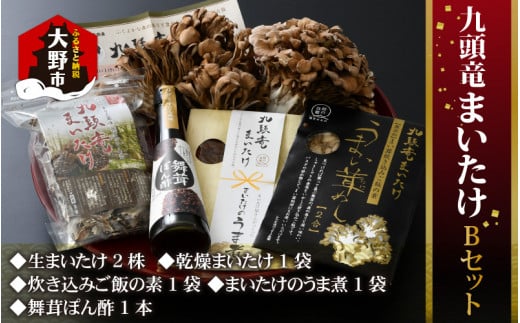 九頭竜まいたけとうま煮・ごはんの素など加工品セット(Bセット)