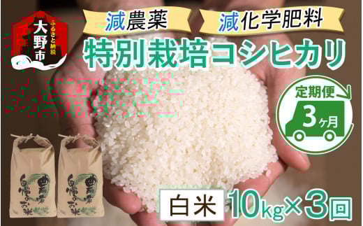 【令和7年産 新米】【3ヶ月定期便】減農薬・減化学肥料の特別栽培コシヒカリ 白米 10kg（5kg×2袋）×3回 計30kg農家直送 福井県大野市産
