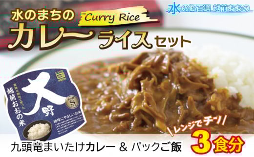 【先行予約】レンジでチン！水のまちのカレーライスセット【３食分】コシヒカリ こしひかり 防災 備蓄 パックご飯 150g パックごはん パックライス