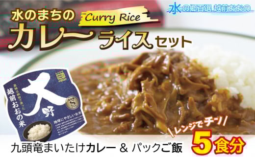 【先行予約】レンジでチン！水のまちのカレーライスセット【５食分】コシヒカリ こしひかり 防災 備蓄 パックご飯 150g パックごはん パックライス
