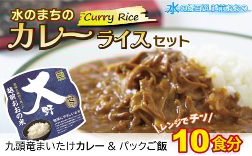 【先行予約】レンジでチン！水のまちのカレーライスセット【１０食分】コシヒカリ こしひかり 防災 備蓄 パックご飯 150g パックごはん パックライス
