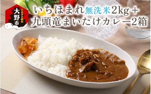 【福井のブランド米】【令和7年産 新米】【特A獲得】いちほまれ無洗米＋九頭竜まいたけカレーセット