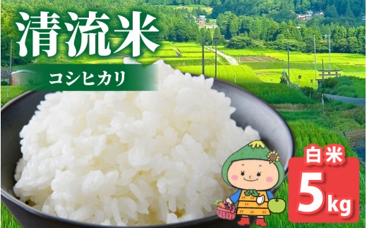 【令和7年産 新米】【福井県大野市】さかだに棚田清流米！(コシヒカリ)（白米） 5kg「今話題の、あのバンドのロケ地！」#🍏