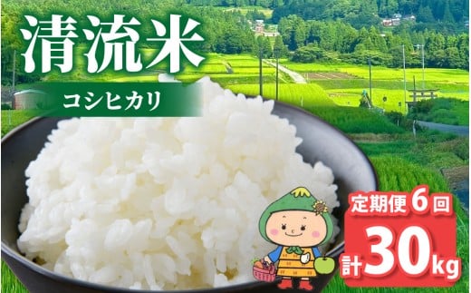 【令和7年産 新米】【6ヶ月定期便】【福井県大野市】さかだに棚田清流米！(コシヒカリ)5kg × 6回 計30g「今話題の、あのバンドのロケ地！」#🍏