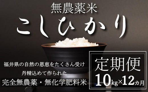 〈令和7年産〉【定期便12回】無農薬米10㎏×12回（こしひかり）玄米