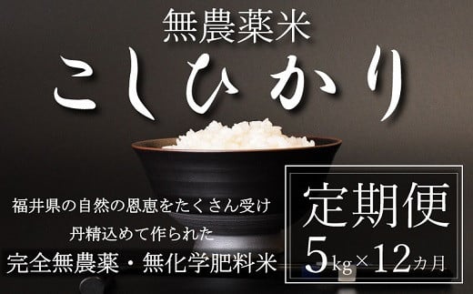 〈令和7年産〉【定期便12回】無農薬米5㎏×12回（こしひかり）玄米