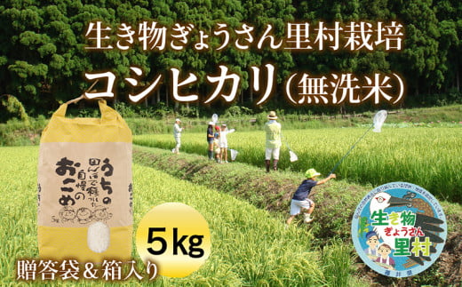 【令和5年度産】生き物ぎょうさん里村栽培コシヒカリ（無洗米）5㎏ ご贈答袋＆箱入り