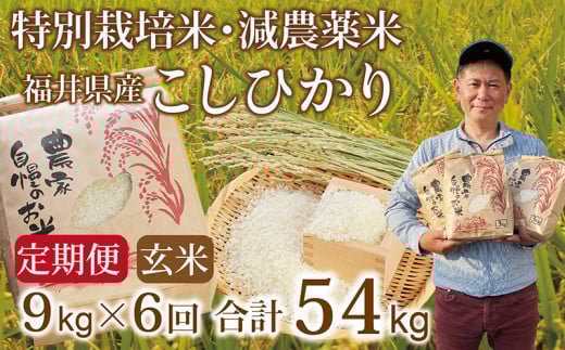 〈先行予約・新米〉【定期便６回】減農薬米 こしひかり 9kg(3kg×3袋) ／令和6年 福井県産 （玄米）2024年10月発送 人気品種 少量サイズ便利