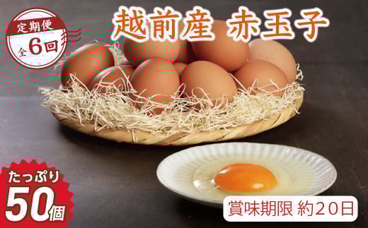 【定期便6回】越前産 赤玉子 50個(45個+割れ補償5個入り) 【冷蔵・卵】(お届け日指定可)