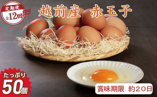 【定期便12回】越前産 赤玉子 50個(45個+割れ補償5個入り) 【冷蔵・卵】(お届け日指定可)
