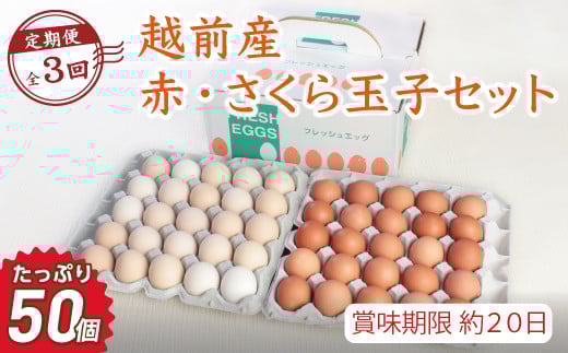【定期便3回】越前産赤玉子・さくら玉子セット50個入り(45個+割れ補償5個入り)【冷蔵・卵】(お届け日指定可)
