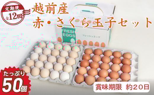 【定期便12回】越前産赤玉子・さくら玉子セット50個入り(45個+割れ補償5個入り)【冷蔵・卵】(お届け日指定可)