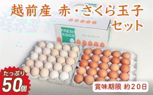 【お届け日指定可】越前産赤玉子・さくら玉子セット50個入り(45個+割れ補償5個入り)【冷蔵・卵】