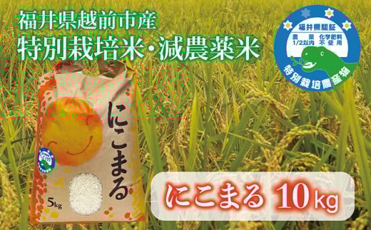 にこまる10kg 令和7年度産 福井県越前市産 福井県特別栽培米