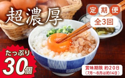 [定期便3回]ミネラルを豊富に含んだ越前赤玉子30個(27個+卵割れ補償3個)