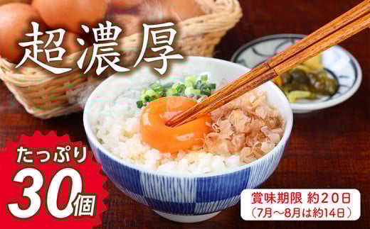 ミネラルを豊富に含んだ越前赤玉子30個(27個+卵割れ補償3個)2023年2月28日テレビ朝日 羽鳥慎一【モーニングショー】 <知っておきたいNEWS検定> 「ふるさと納税で異変・高騰の卵人気」コーナーにて 本返礼品が取り上げられました!