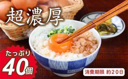 ミネラルを豊富に含んだ越前赤玉子40個(36個+卵割れ補償4個)2023年2月28日テレビ朝日 羽鳥慎一【モーニングショー】 <知っておきたいNEWS検定> 「ふるさと納税で異変・高騰の卵人気」コーナーにて 本返礼品が取り上げられました!