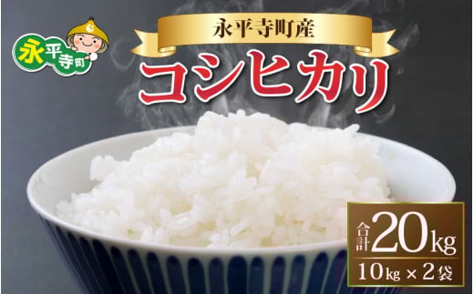 【先行予約】【白米】 令和5年度産 永平寺町産 コシヒカリ 20kg 【2023年9月下旬以降順次発送開始予定】[D-033008]