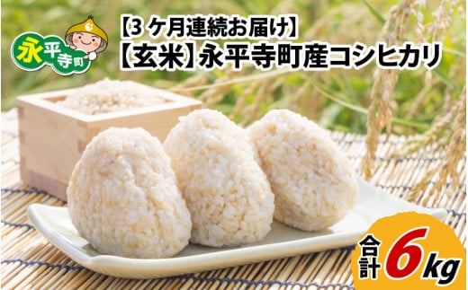 【3ヶ月連続お届け】【玄米】 令和5年度産 永平寺町産 コシヒカリ 2kg×3ヶ月（計6kg） [B-033055]