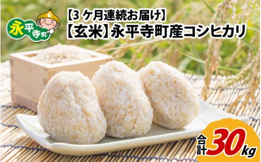 【3ヶ月連続お届け】【玄米】 令和5年度産 永平寺町産 コシヒカリ 10kg×3ヶ月（計30kg）  [E-033053]