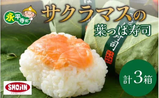 喜ばれる手土産 サクラマスの葉っぱ寿司 3個入り×3箱 [B-068001] / 鱒 マス マス寿司 ます寿司 鱒寿司 寿司 お寿司 サーモン