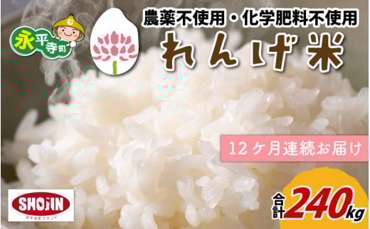 【12ヶ月連続お届け】農薬不使用・化学肥料不使用 永平寺町産 れんげ米 20kg×12ヶ月（計240kg）[N-002023]
