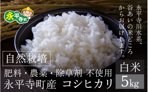 【先行予約】【令和７年産 新米】自然栽培米 永平寺町産 コシヒカリ 【白米】５kg　【11月上旬順次配送予定】無農薬 化学肥料  除草剤 不使用 福井県 永平寺
