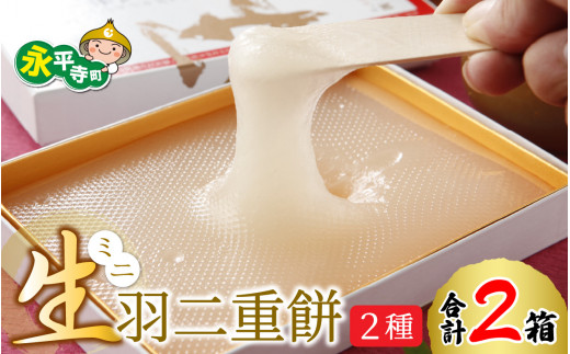 ミニ生羽二重餅 2種セット（しろ・京きなこ入り）[A-011005] / 菓子 きなこ 羽二重餅 はぶたえもち 福井名物 スイーツ 羽二重餅セット 羽二重餅詰合せ 餅 もち 福井 永平寺 マエダセイカ はぶたえ 羽二重餅 羽二重 和菓子 生菓子 ギフト プレゼント あさいち