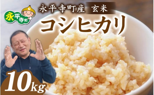 永平寺町飯島産　コシヒカリ  【玄米】10kg /ふるさと納税 米 こしひかり 10キロ  福井県 永平寺町 の おいしい お米 発祥の地 こめ おこめ 玄米 精米 国産 限定 ごはん ご飯 白飯 ゴハン 玄米 ふるさと ランキング 人気 おすすめ 送料無料 産地直送 農家直送 福井県 永平寺 国産米  中西農園[C-074002]