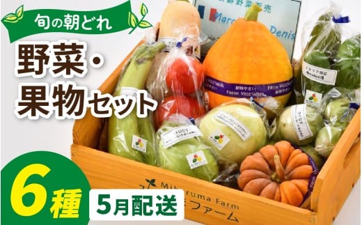 朝どれ 旬な野菜 果物セット 6種類セット【1回単発便】【お届け月5月】/ 農薬・化学肥料不使用
