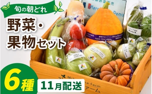 朝どれ 旬な野菜 果物セット 6種類セット【1回単発便】【お届け月11月】/ 農薬・化学肥料不使用